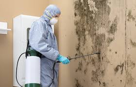 Best Mold Prevention Services  in Forks, WA